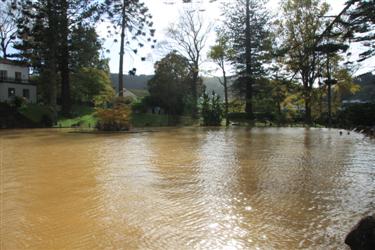 azori, portugalska, sestanek botaničnih vrtov, botanični vrtovi, azorski otoki