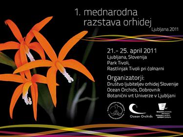 1. MEDNARODNA RAZSTAVA ORHIDEJ 2011, orhideje, rzstava orhidej, ljubljana 2011, mednarodna razstava