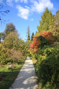 arboretum, arboretum botanični vrt, drevesni del