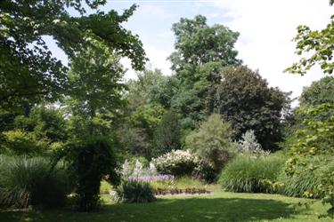 arboretum, arboretum botanični vrt, drevesni del
