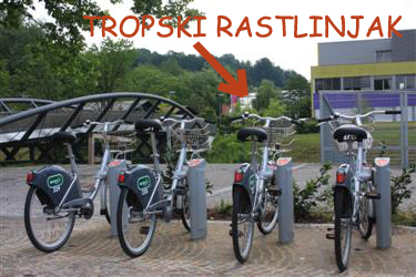 bicikelj, mestno kolo, špica, citybike