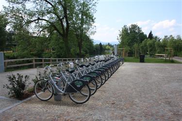 bicikelj, mestno kolo, špica, citybike