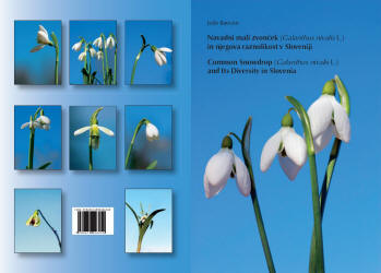 Common Snowdrops, Galanthus  nivalis, Diversity, Slovenia