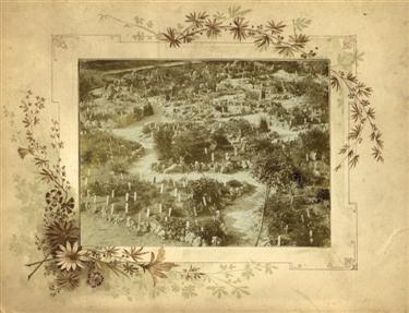 botanični vrt, zgodovina, najstarejša fotografija, 1870, zgodovina ljubljane