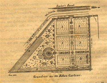 botanični vrt, načrt vrta, 1885, zdogovina botaničnega vrta
