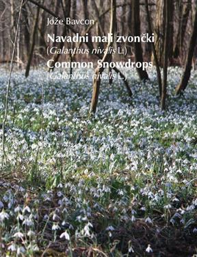 common snowdrops, galanthus  nivalis, book