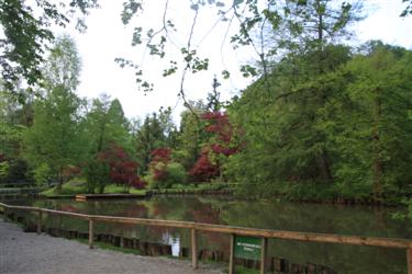 Ogled, arboretum, Volčji potok