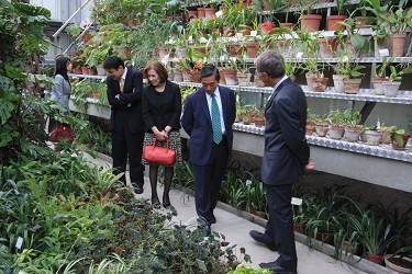 japonski veleposlanik, japonska ambasada, njegova ekselenca, Shigemi Jomorij, veleposlaništvo japonske