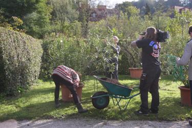 dobro jutro, jesenska opravila, delo na vrtu, obrezovanje, tanja postružnik