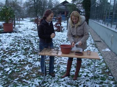 dobro jutro, topla greda, zaščita rastlin, solata, zgodnja solata