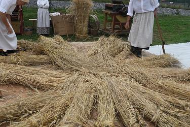 kmecki dan, turisticno drustvo novaki