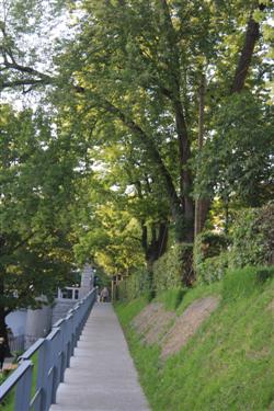 nabrežje ljubljanice, ljubljanica, ladjica, ob ljubljanici, do botaničnega vrta, turizem ljubljana