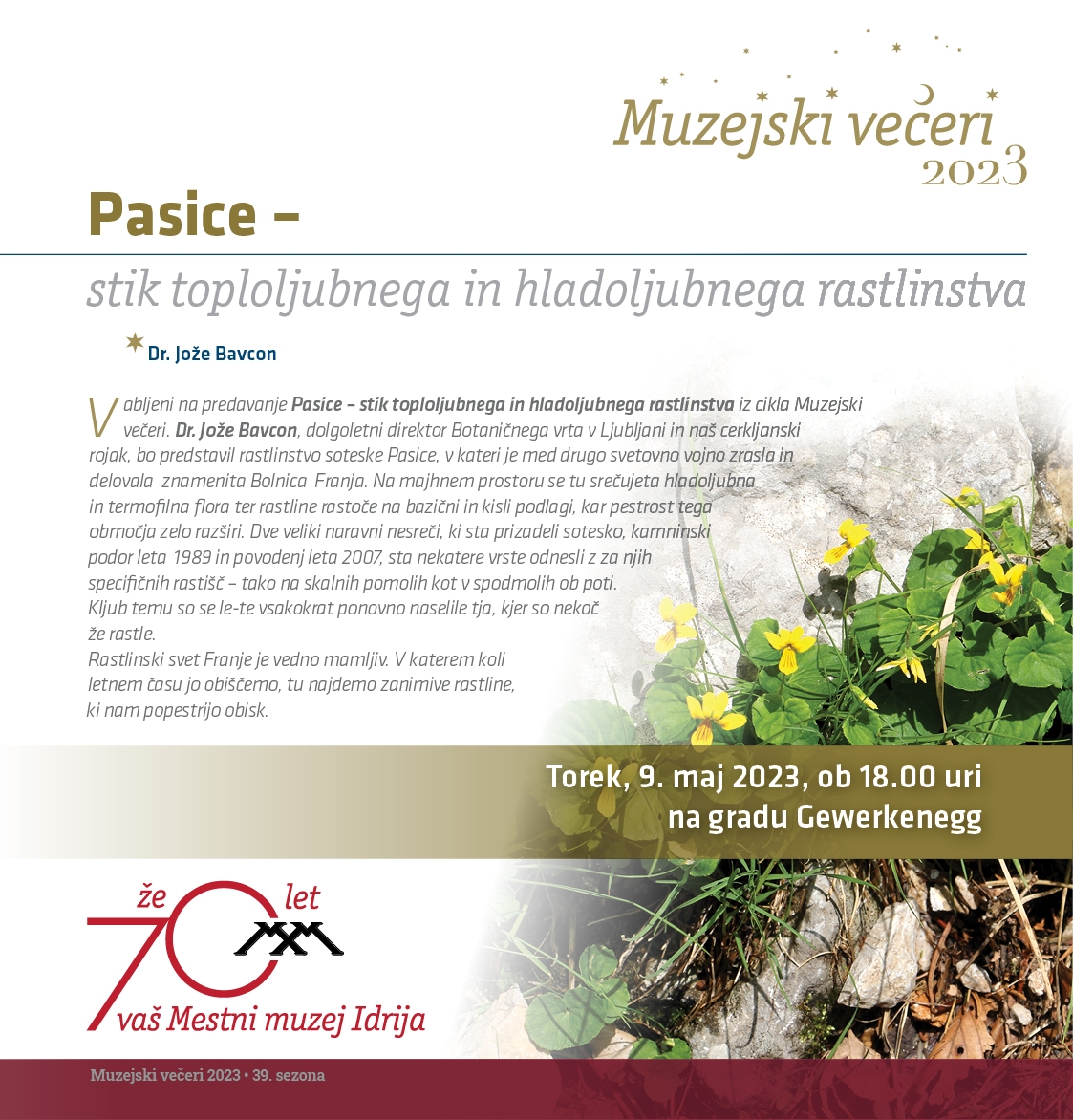 Pasice - muzejski vecer