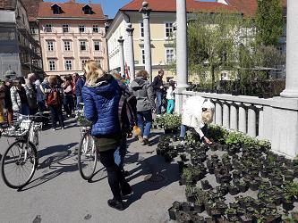 za lepso ljubljano