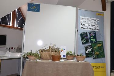 predstavitev znamk zdravilne rastline, zdravilne rastline znamke