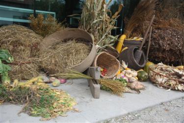 razstava buč, jesenska razstava, jesenska opravila, kmečka opravila, voz s senom, lesene sani, jesenska kmečka opravila