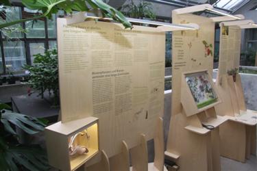urbanbees, čebele v mestu, čebele, potujoča razstava, life