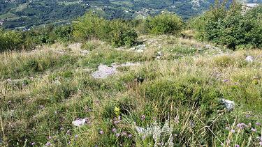 Botanični vrt Gorica