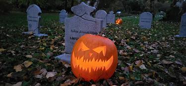 Jesen v botaničnem vrtu