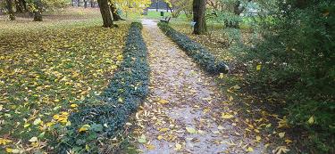 Jesen v botaničnem vrtu