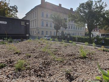 roof gardens, bus station, roof gardens on bus station