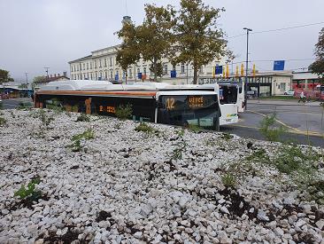 roof gardens, bus station, roof gardens on bus station