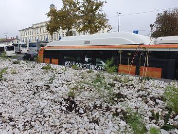 roof gardens, bus station, roof gardens on bus station