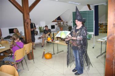 ČAROBNE RASTLINE, JUNAK, HARRYJA POTTERJA, harry potter