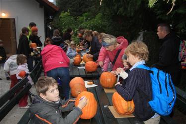 buče, pajki, netopirji, čarovniške palice, strahci, buče, halloween