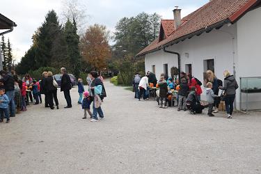 izrezovanje strahcev iz buc