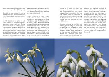 common snowdrop, common snowdrops, galanthus nivalis, galanthus slovenia, snowdrops book, galanthus book, snowdrop book