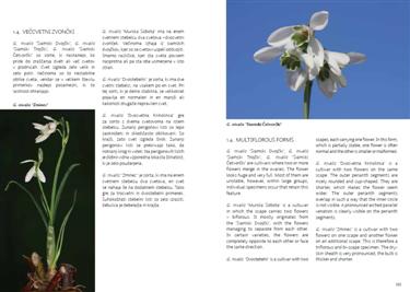 common snowdrop, common snowdrops, galanthus nivalis, galanthus slovenia, snowdrops book, galanthus book, snowdrop book