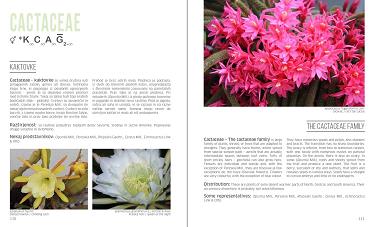 cvetne formule rastlinskih druzin v botanicnem vrtu univerze v ljubljani