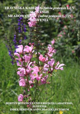 travniška kadulja, salvia pratensis, salvia pratensis slovenija, index seminum 2014