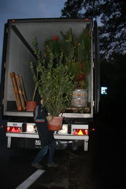 tovornjak rastlin, donacija rastlin, transport rastlin, botanični vrt bonn, Botanische Gärten der Universität Bonn