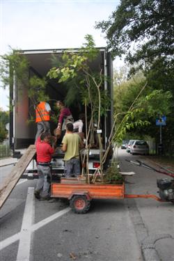 transport rastlin, prevoz rastlin, tovornjak rastlin, botanični vrt gradec, graz