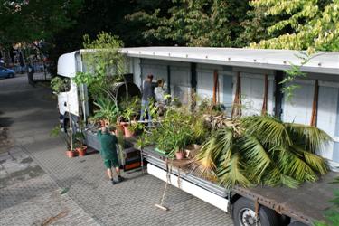 transport rastlin, prevoz rastlin, tovornjak rastlin