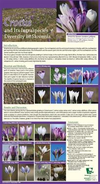 Crocus, Diversity in Slovenia, crocus diversity