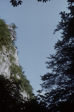 Pogled iz soteske v stene Velikega Njivča.