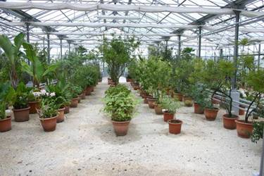  Rastlinjak sredozemskih rastlin in sočnic, novi botanični vrt, biološko središče