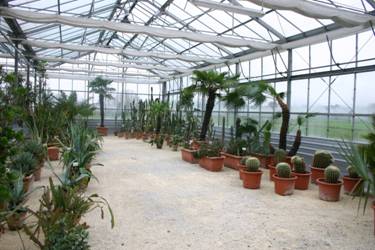 Rastlinjak sredozemskih rastlin in sočnic, novi botanični vrt, biološko središče