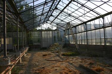 Dokončanje rastlinjaka na novi lokaciji botaničnega vrta ob biološkem središču