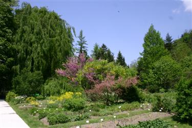 rastlinski sistem, botanični vrt, osrednji del, univerza v ljubljani