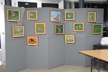 slikarska razstava, živali na slikah, ptice, slike ptic