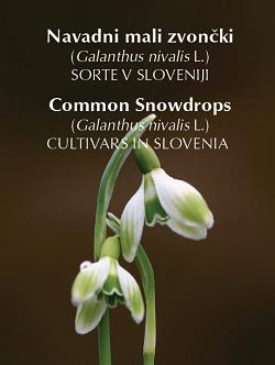 Navadni mali zvončki Navadni mali zvončki (Galanthus nivalis L.) SORTE V SLOVENIJI