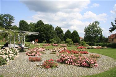 vrtnice, slovenske vrtnice, rozarij, rožni vrt, rastlinjak Tivoli, park Tivoli, čolnarna